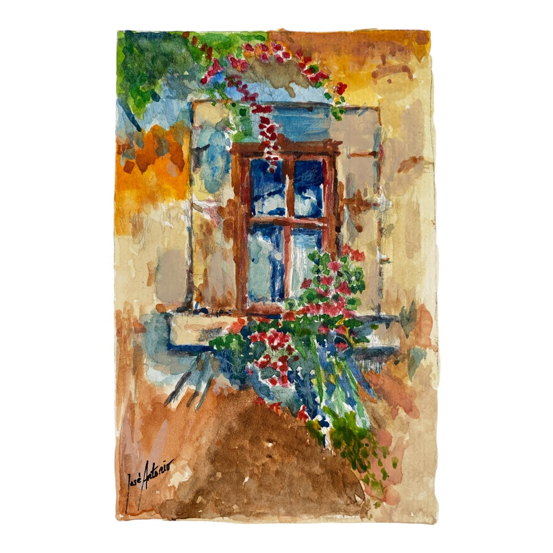 Ventana de luz y flores
